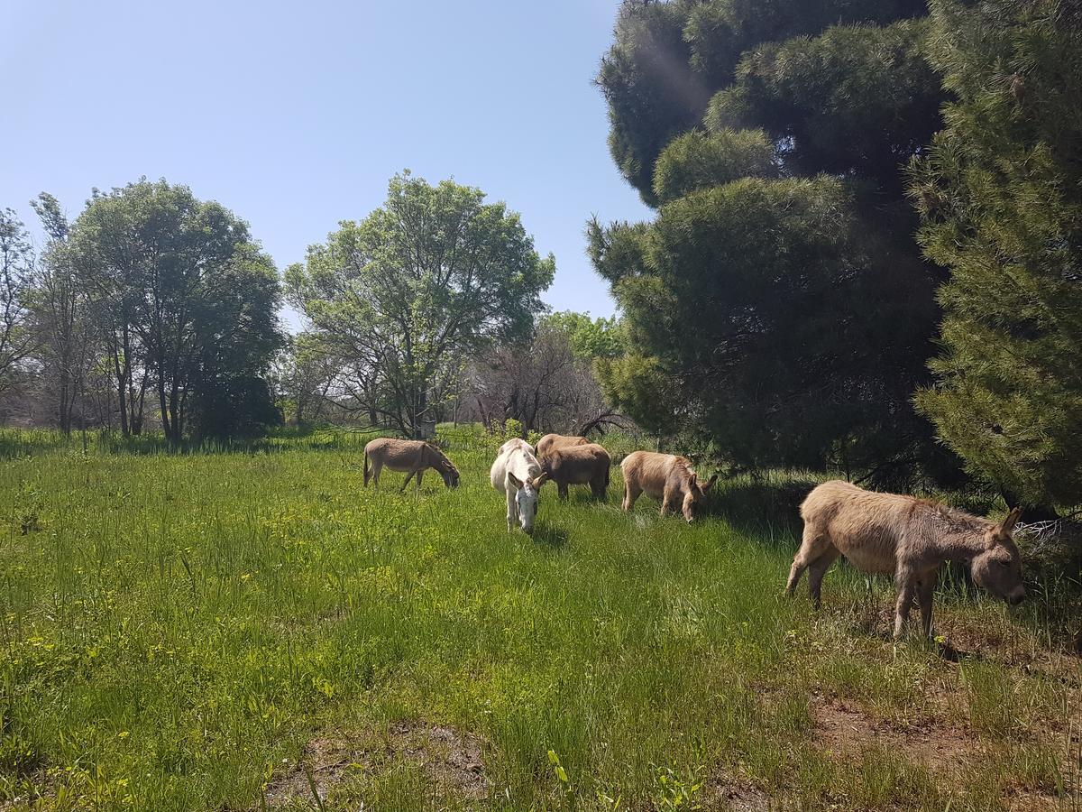 Analaya Villa Vias Buitenkant foto